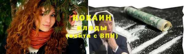 соль ск Горнозаводск